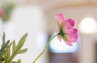 casa minnie - Foto 20