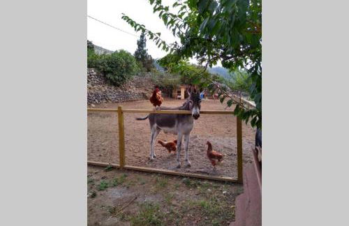 LA TAGORA Conect with the nature & relax - Foto 47