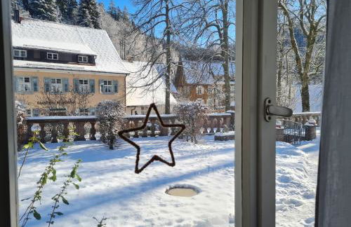 Ferienwohnungen-Allerheiligen-Wasserfälle - Foto 10