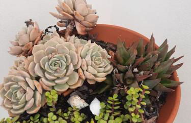 Casa da Xica - Photo 23