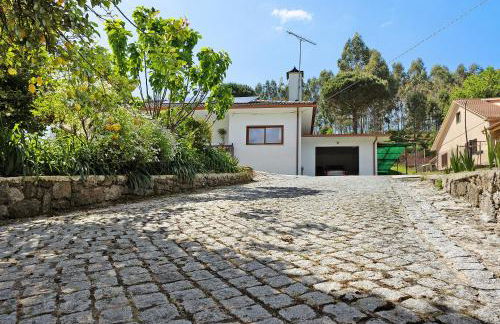 Vermarl - Viana do Castelo - Foto 28