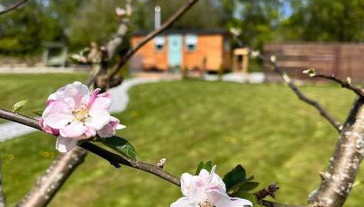 Cornwall Shepherds Hut - Hot Tub & Cosy Log Burner - Foto 3