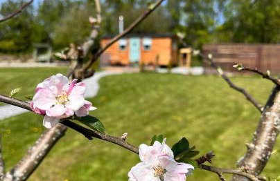 Cornwall Shepherds Hut - Hot Tub & Cosy Log Burner - Photo 3