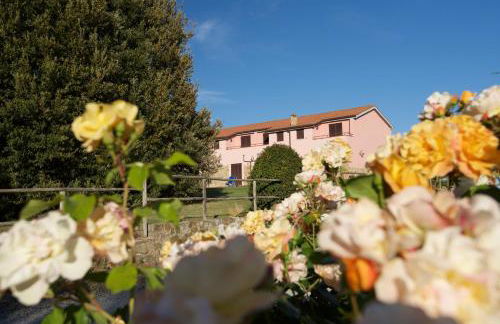 I Puntoni Agriturismo - Foto 46