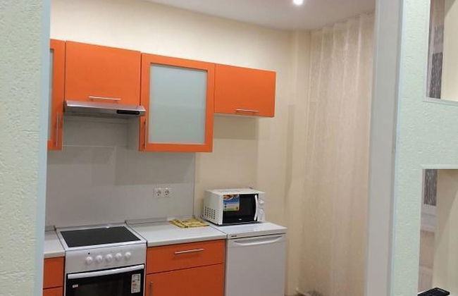 Apartment on Geologorazvedchikov 44a - Photo 10