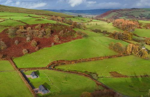 Dol Blodau - Photo 32