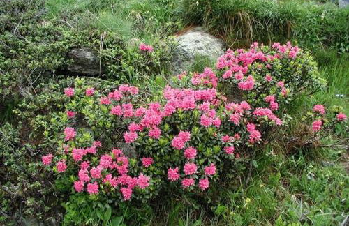 Mas De La Bolp - Chalet - Foto 72