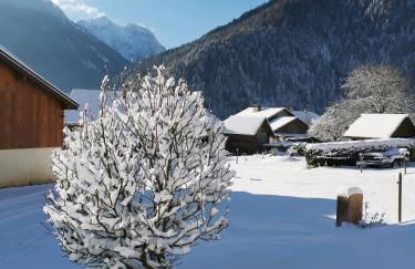 Mazot de Joe avec son hammam entre la Clusaz et Annecy - Foto 7