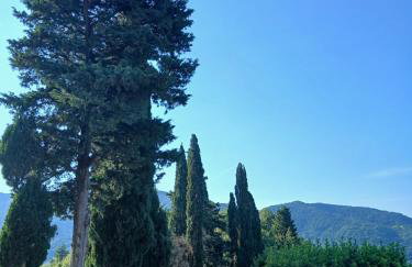 La Casa di Colle - Photo 43
