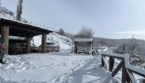 Villa Ohana - Photo 4