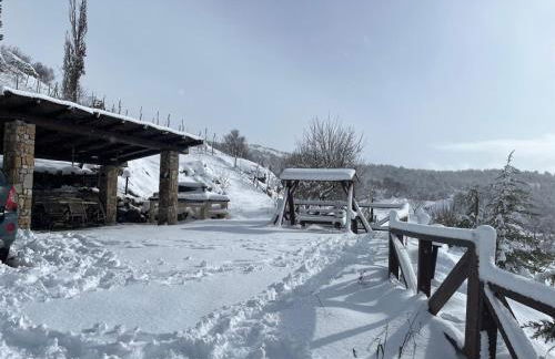 Villa Ohana - Photo 4