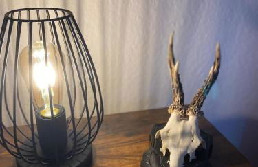 Wohnung für bis zu 5 Gäste in Hockenheim, Nähe Walldorf, Speyer, Mannheim, Heidelberg, Ludwigshafen - Foto 18