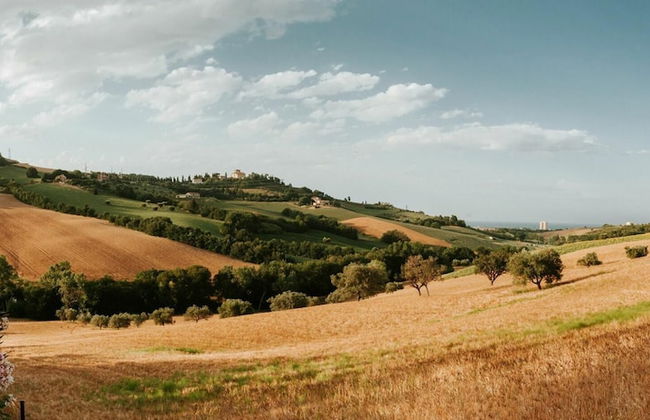 Villa Millefiori - Villa Millefiori - Photo 60