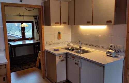 Ferienwohnungen Eisele - Foto 19