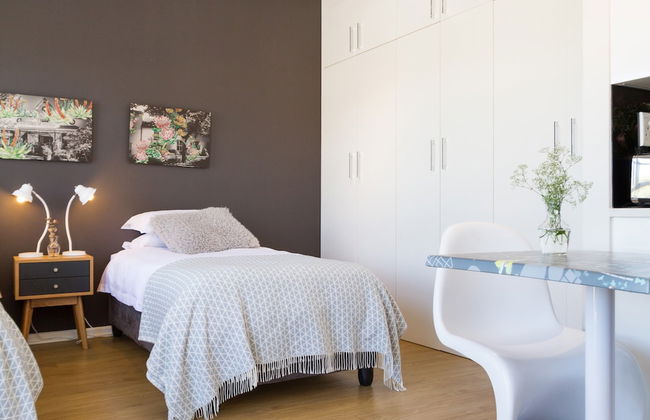 WINK Quiver Tree - Foto 4