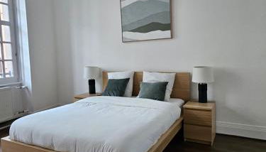 Superbe appartement 140 m2 plein centre-ville de Strasbourg - Foto 2