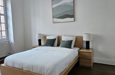 Superbe appartement 140 m2 plein centre-ville de Strasbourg - Photo 2