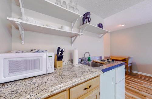 Near Douglas Lake 1st Floor Studio Dog Friendly - Foto 7