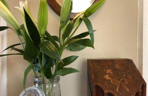 Mansefield House - Foto 18