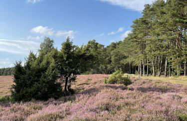 Ferienwohnung AllerStall - Foto 7