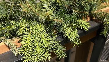 Przystanek SUCHE - Foto 5