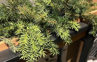 Przystanek SUCHE - Foto 5