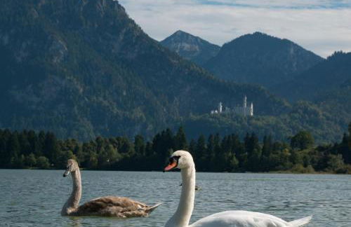 Landhaus Senn - Foto 18