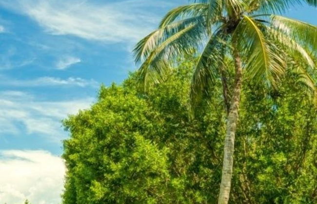 Baywatch Casa 3 Bedroom Home by RedAwning - Foto 35