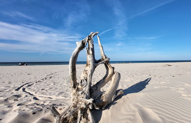 2 bedroom House in Smołdzino with garden and terrace - Foto 40