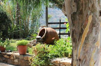 Ikaria Utopia - Cusco Studios - Photo 15