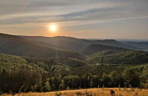 Apartment Siegmund by Interhome - Foto 17