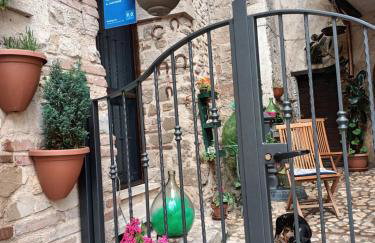 AL CANTINONE - Foto 7