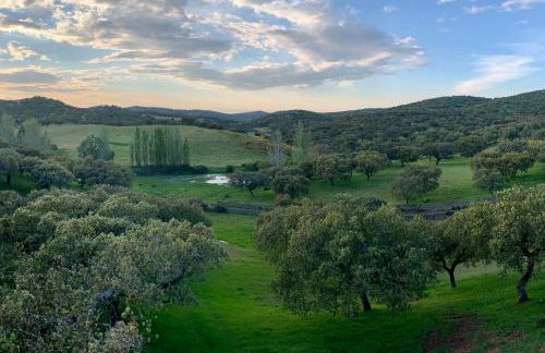 La Siesta del Naranjo - Foto 46