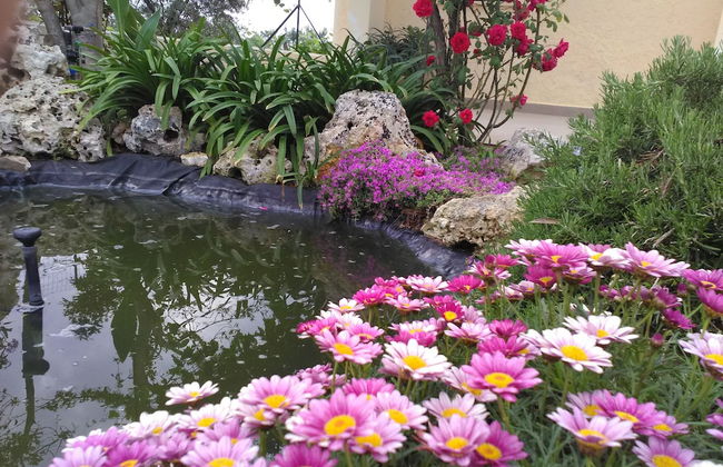 Villetta Dote - Photo 69