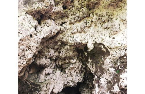 Gîte Tanagra : Maison avec piscine et vue exceptionnelle - Foto 50