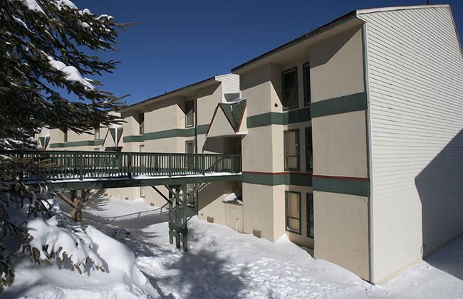 Leatherbark - Foto 1