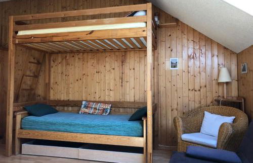 Les Enfetchores - apartment overlooking la Meije - Photo 29