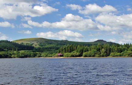 Dartmoor Reach Alpaca Farm - Foto 90