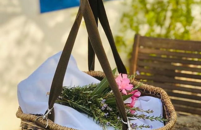 Casas de Campo do Castro da Cola - Foto 35