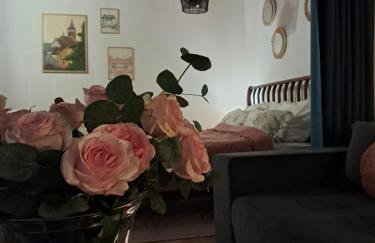 Apartament typu studio w Kamienicy - Foto 11