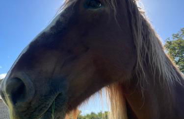 La Maison du Bonheur & Spa - Photo 10