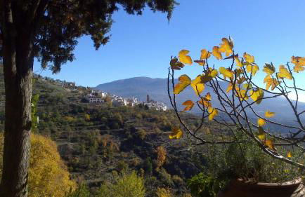 Cortijo Buena Vista - Photo 32