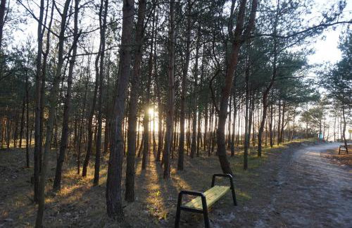 Zacisze Sosnowe - Foto 35