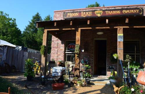 A-Frame with VIEWS - Walk to Downtown and Park - Pets OK - Foto 53