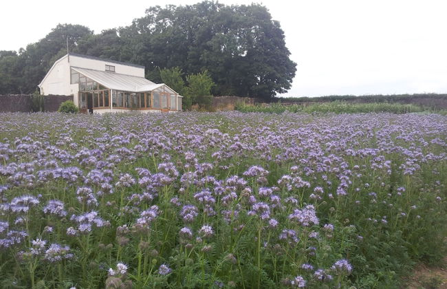 Croan Cottages Self Catering - Foto 18