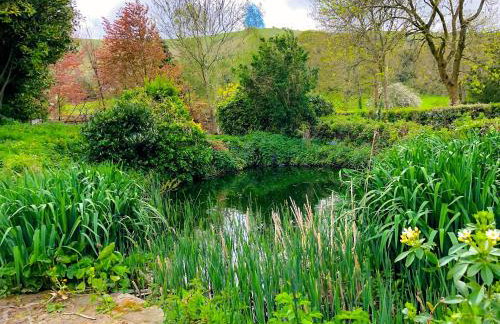 Tovey Lodge - Foto 16