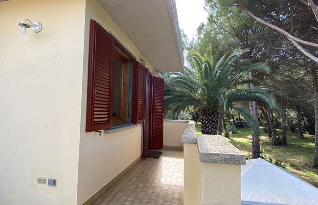 Pineforest - Foto 26