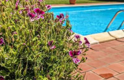 Sr-f943-csel0at - Cottage Sant Elia - Foto 7