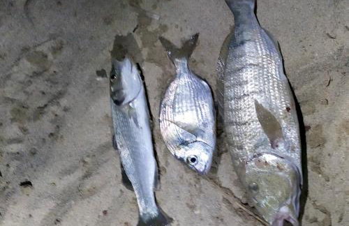 Aegean Villa - Foto 42