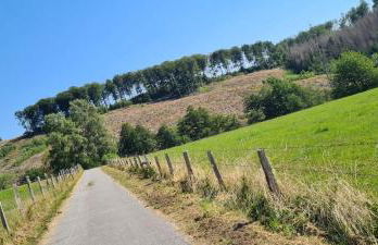 Ferienwohnung in Arnsberg mit Süd-Terrasse - Foto 34